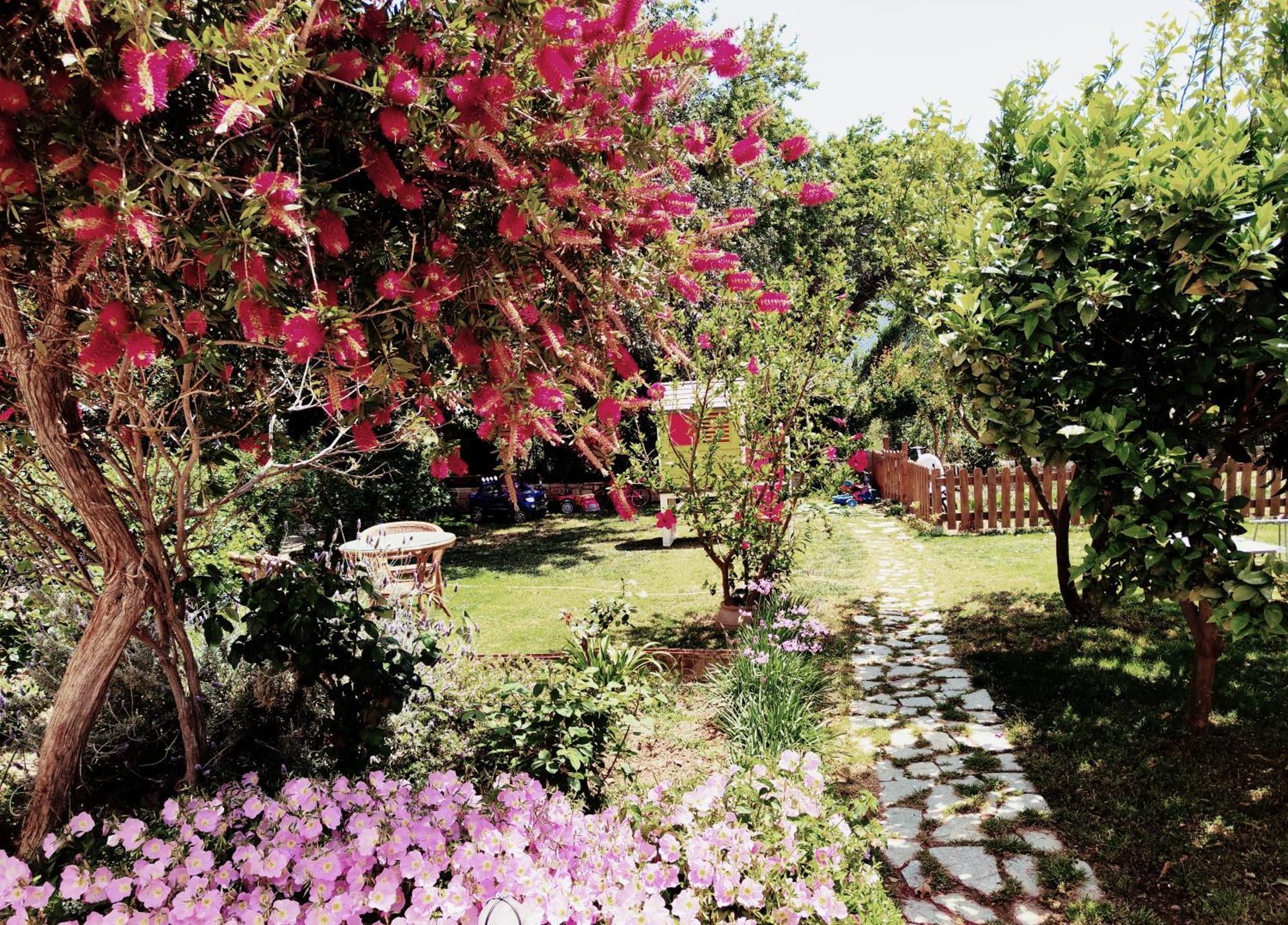 Plakias River Apartment Dış mekan fotoğraf